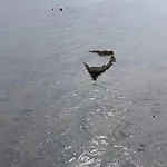 Atico Pequeno Paraiso Διαμέρισμα Combarro