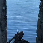 Atico Pequeno Paraiso Combarro
